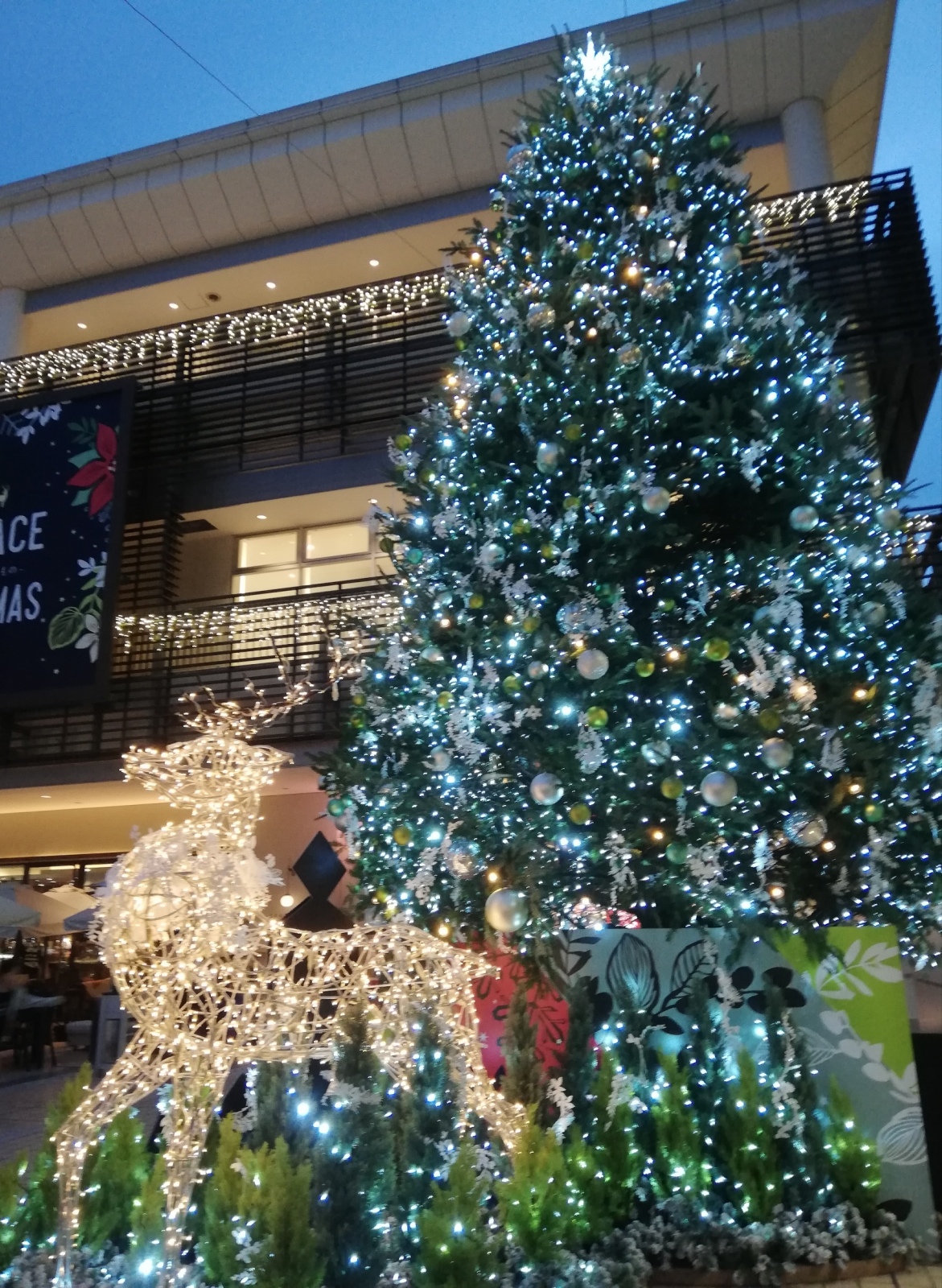 Special Edition Thank you2018@