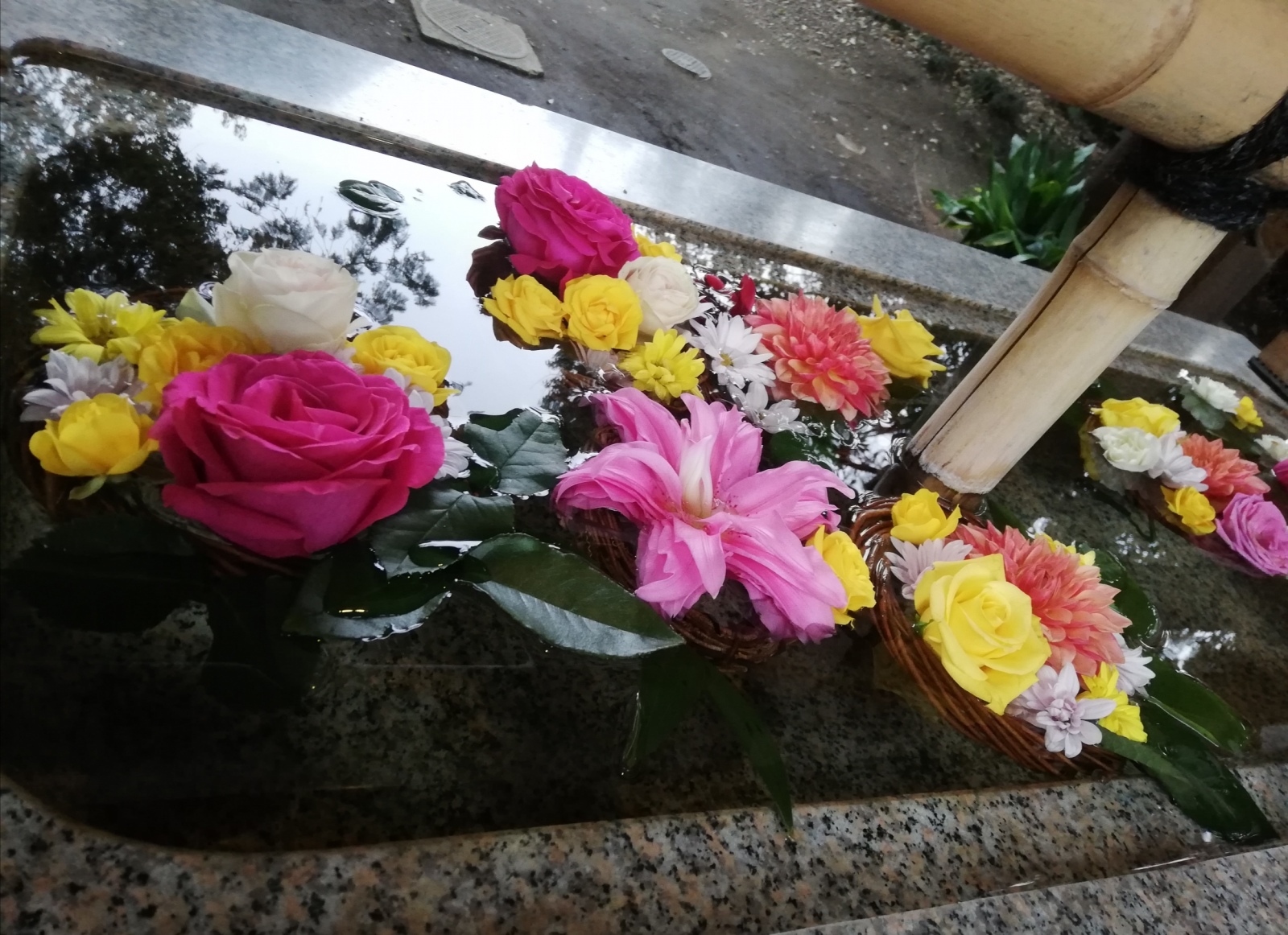 今日(29日)の自由が丘熊野神社さんの花手水
