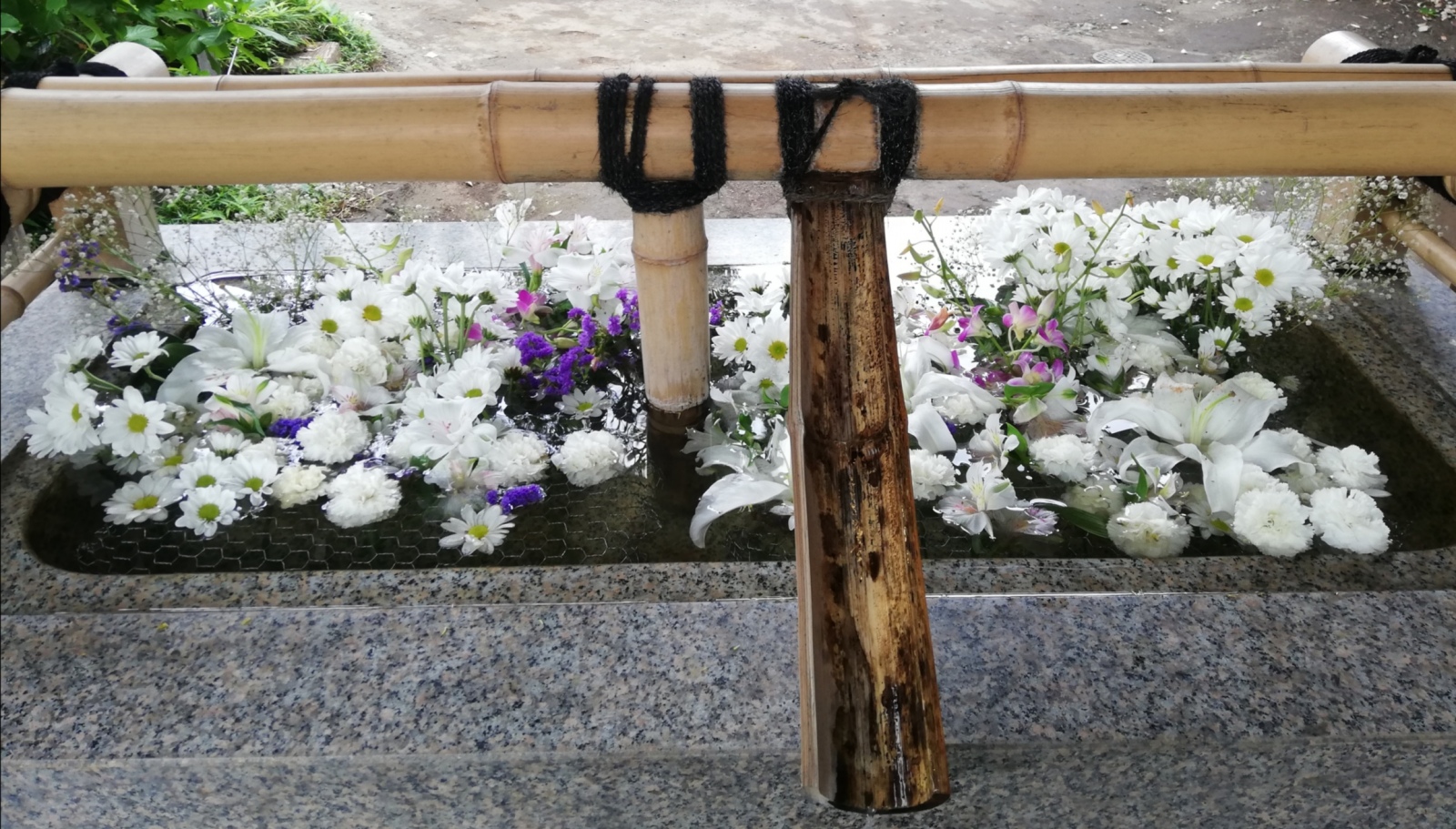 今日の自由が丘熊野神社さんの花手水